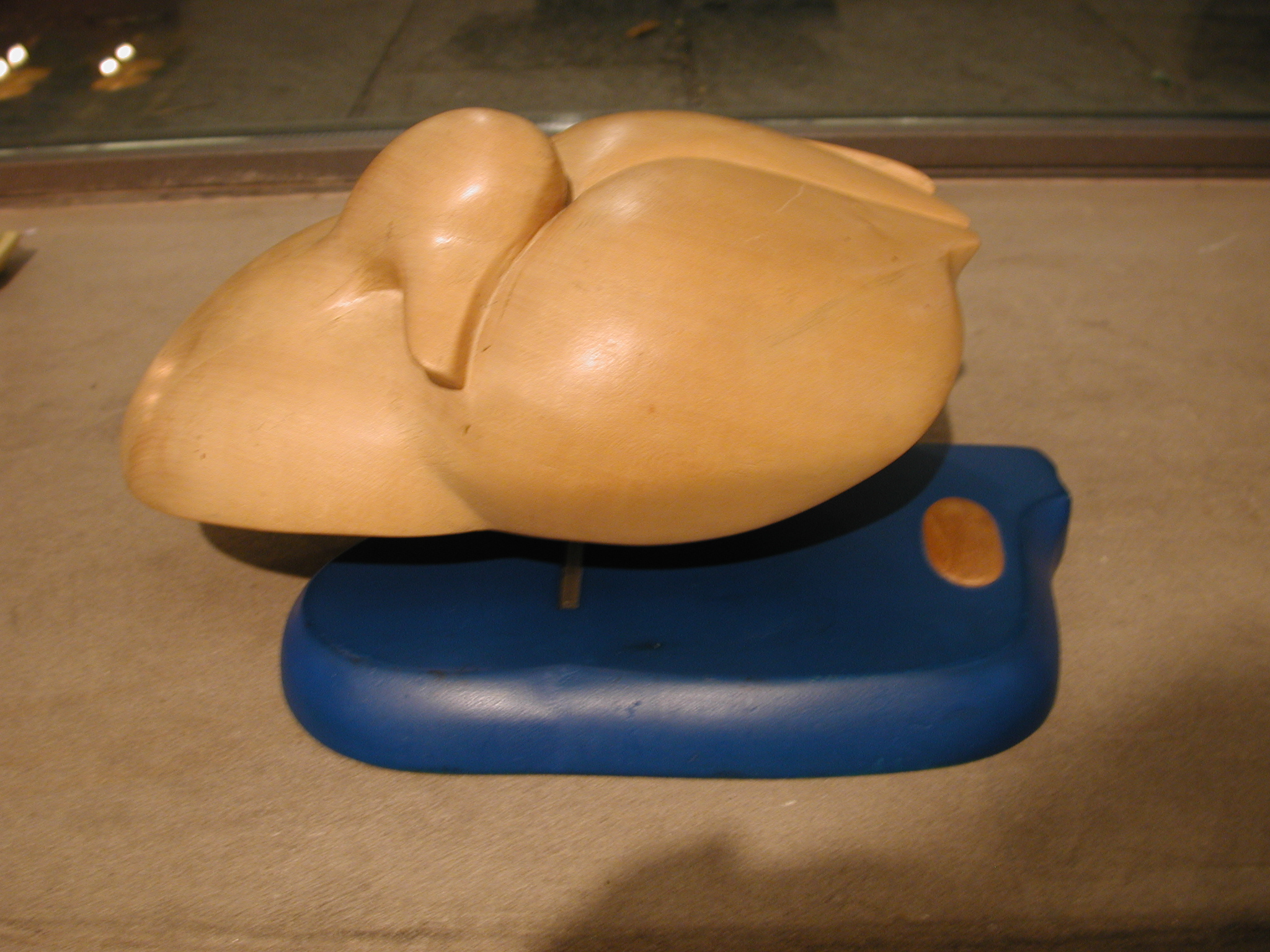 sleeping goose